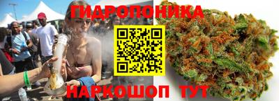 эйфоретик Гусиноозёрск