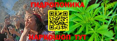 крисы Аргун