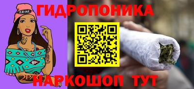 крисы Аргун