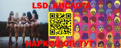 МДПВ Гусев