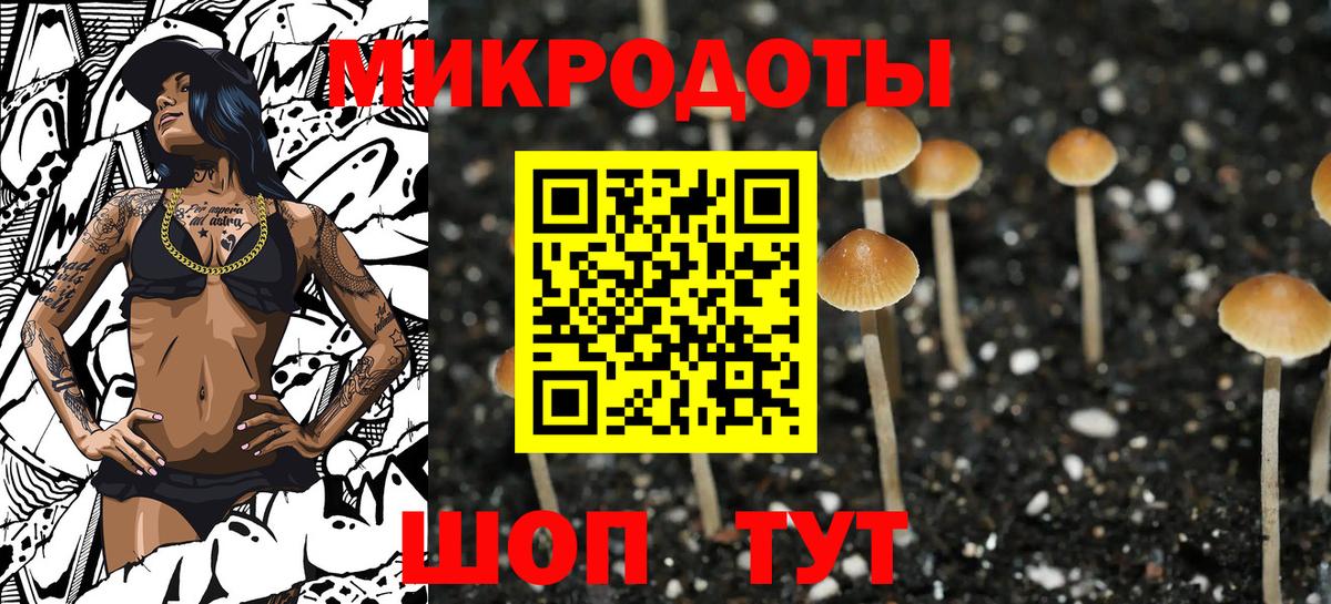 Псилоцибиновые грибы мицелий Уварово