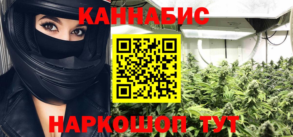 Бошки марихуана план  Уварово  Бошки марихуана семена  Бошки Шишки семена 